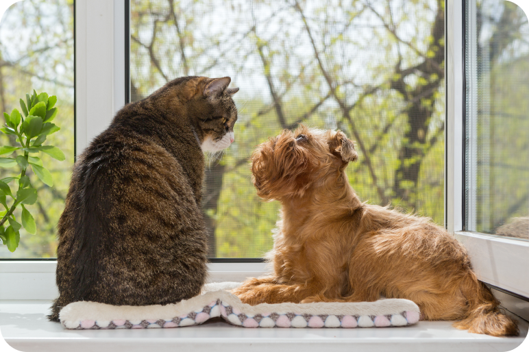 犬や猫の健康を第一に